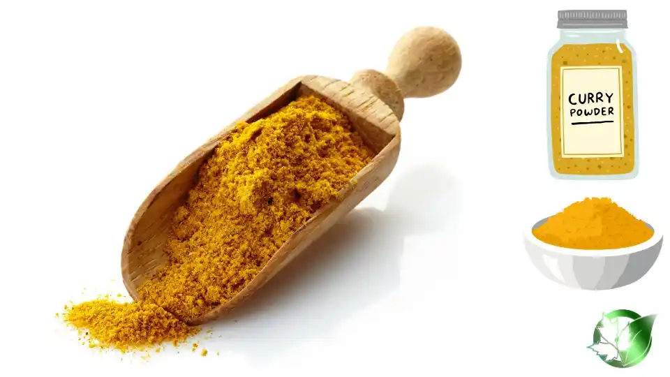 Commercial presentation of Curry Powder for wholesale product evaluation and buyer review.